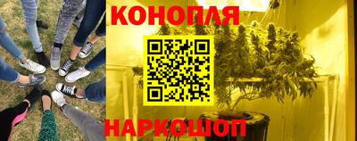 индика Бузулук