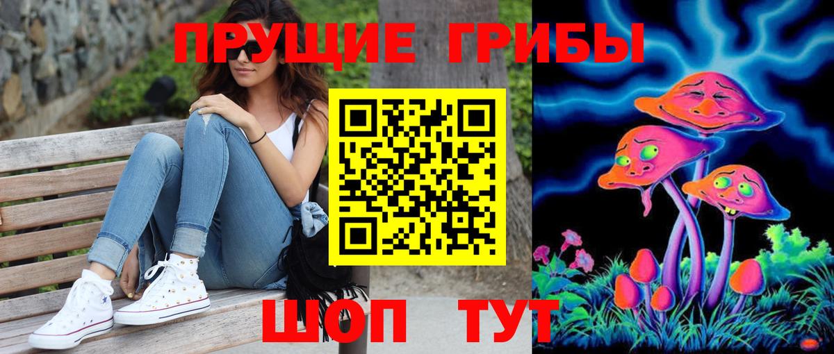Псилоцибиновые грибы GOLDEN TEACHER  Вход с VPN  Сланцы 
